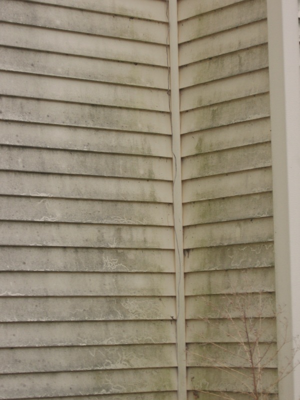 dirty siding that needs cleaning