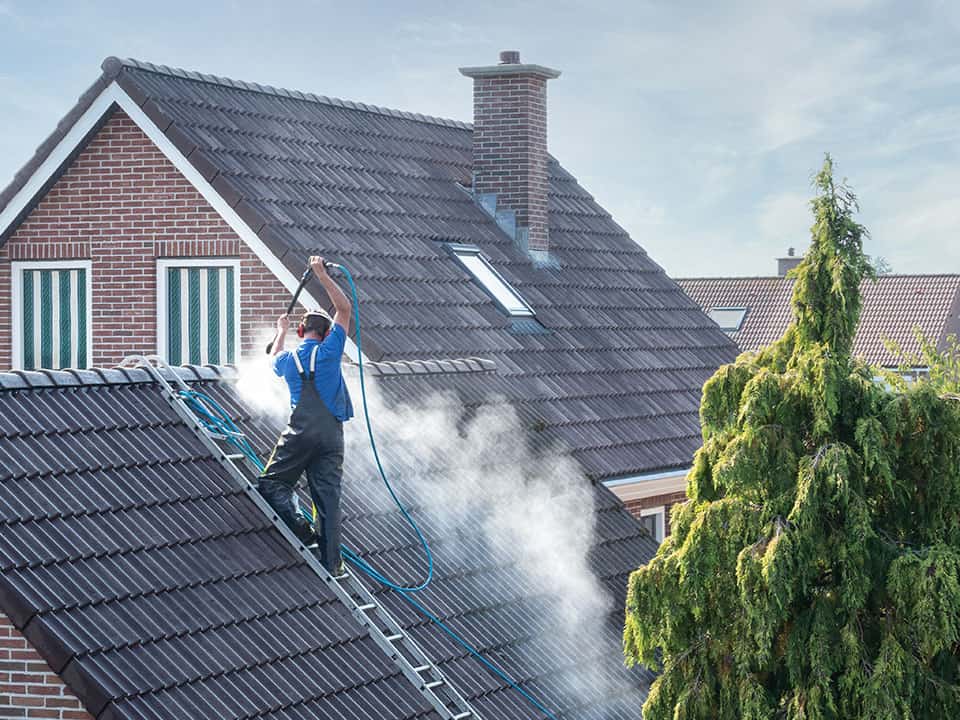 roof cleaning services springfield illinois
