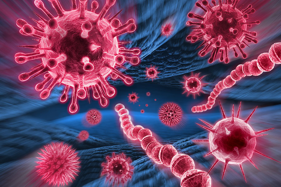 A digital image of reddish-pink bacteria and viruses that could be lurking in your air ducts in Springfield, IL