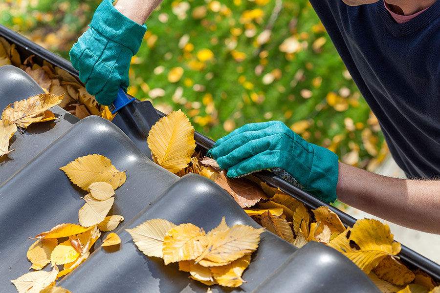 A professional providing expert cleaning services to clear the leaves and debris from the gutters of this residential home in Springfield, IL.