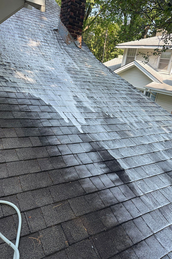 An asphalt roof in Springfield, IL that is being sprayed by a power washing company with a chemical cleaner that removes algae from the surface of your roof.