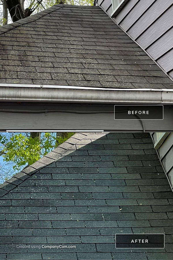 A before and after image of residential asphalt roof in Springfield, IL that is covered in moss and algae and is cleaned by a professional roof power washing company.