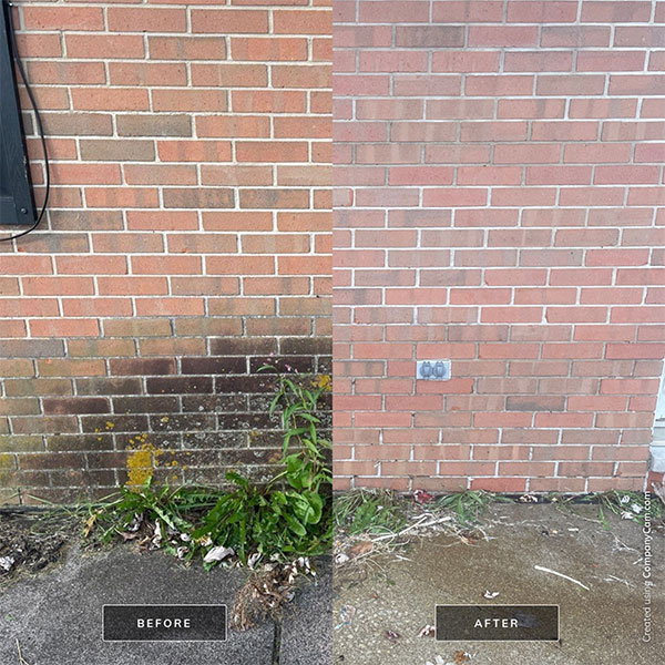 A close image of a residential brick home where half are covered in dirt and algae and the other half has been power washed professionally in Springfield, IL.