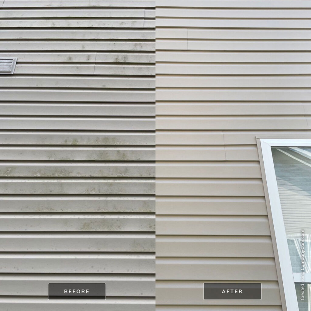 A before and after image of algae and mildew being power washed from a home’s vinyl siding in Springfield, IL.